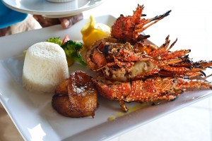 Ocean Echo - Seal Island grilled lobster